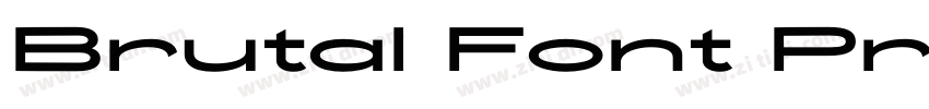 Brutal Font Pro字体转换